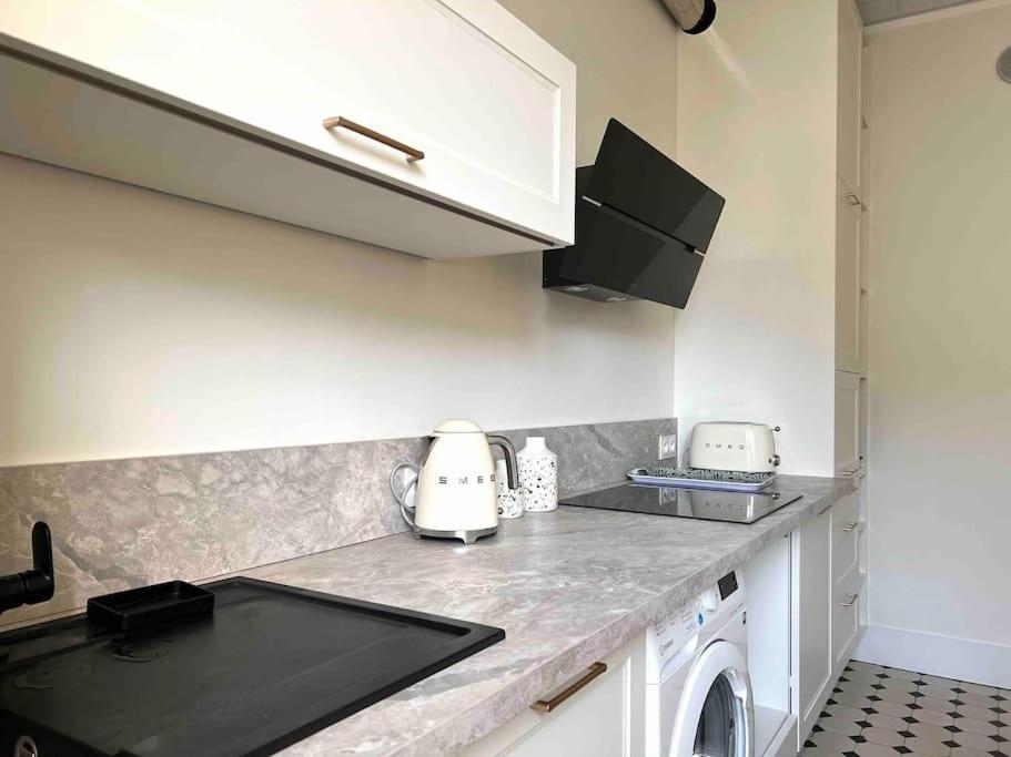 Appartement Entierement Renove Proche Gare Grenoble Bagian luar foto